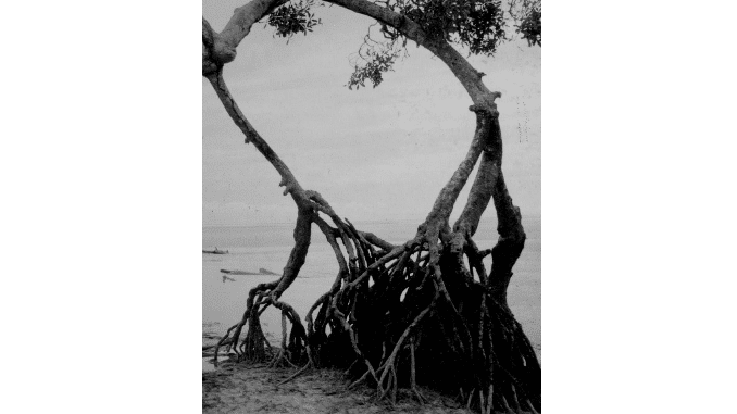 Pin de Tainá em Amor Imagens de caminhão, Fotos de caminhão