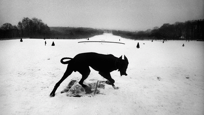 Josef Koudelka, fotografias