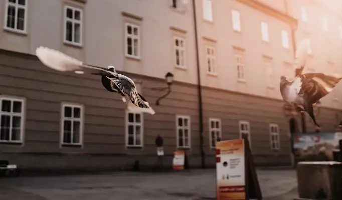 O neoliberalismo produz sujeitos para o autoritarismo