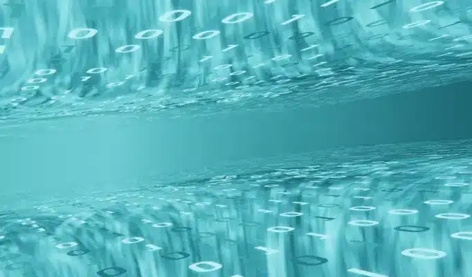 O novo leviatã digital