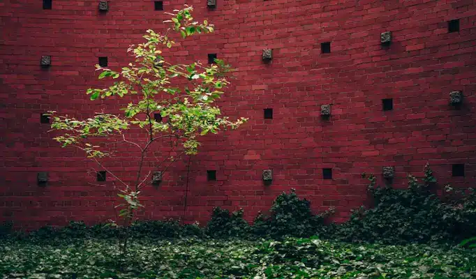 A PEC da segurança pública – ponto a ponto