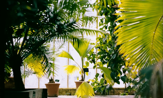 Da Ucrânia à Venezuela – parte 2