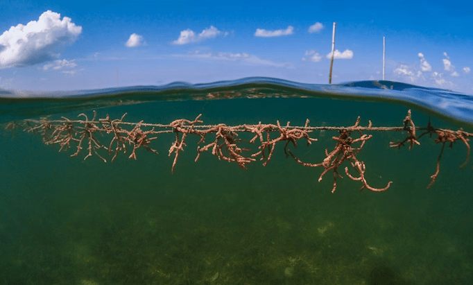 As ameaças ao porto de Chancay