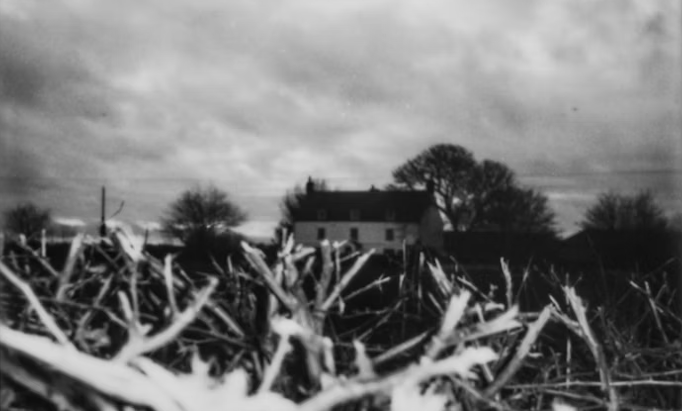 A cabeleira, o fantasma e a inteligência artificial