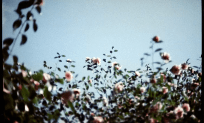 O percurso da polarização