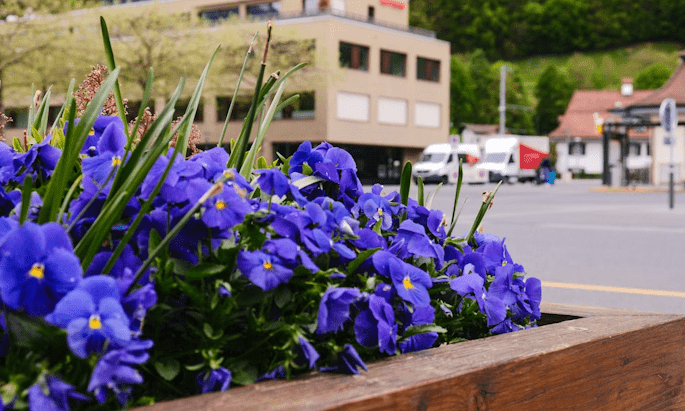 Jürgen Habermas – teoria crítica, esfera pública e coerência democrática