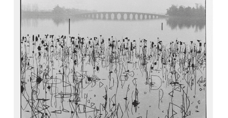 René Burri, 
Antigo Palácio de Verão. Flores de lótus mortas no lago Kunming. Pequim, China,  1964